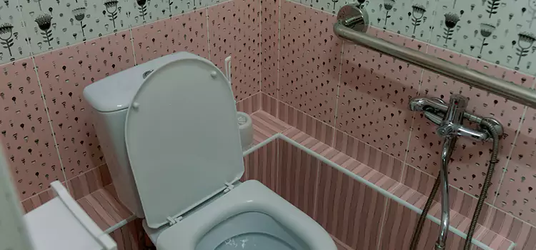 Meeting Diverse Needs With Accessible Restroom Solutions in Val-des-Monts, QC